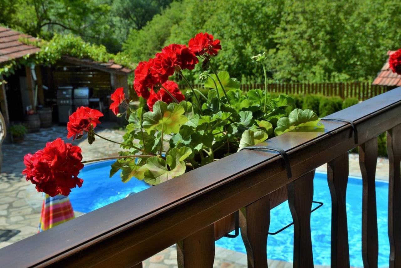 Къща Край Реката/ House By The River Vetrintsi Bagian luar foto